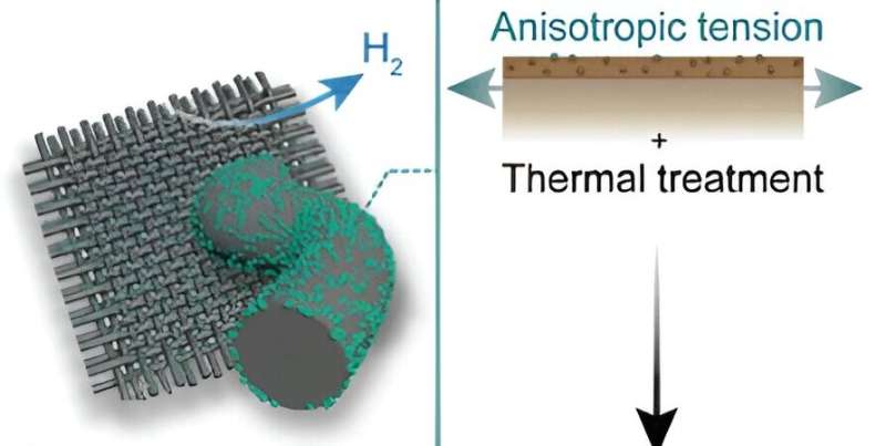 Carbon fiber fabric electrocatalyst